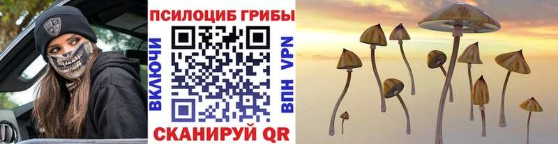 что такое наркотик Шацк Псилоцибиновые грибы ЛСД